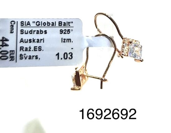 Sudraba auskari (apz.) -60%
