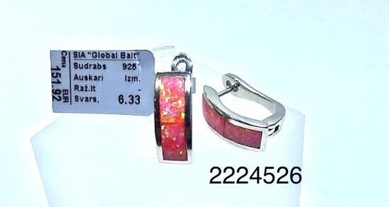 Sudraba auskari ar opāliem -60%